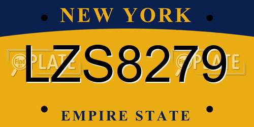 LZS8279 New York License Plate