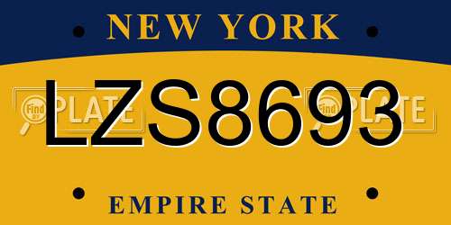 LZS8693 New York License Plate