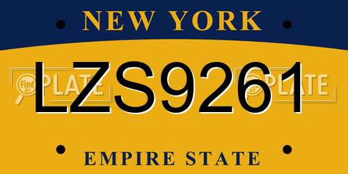 LZS9261 New York License Plate