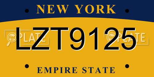 LZT9125 New York License Plate