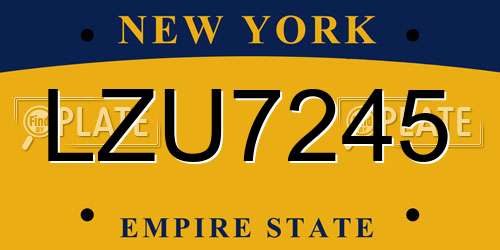 LZU7245 New York License Plate