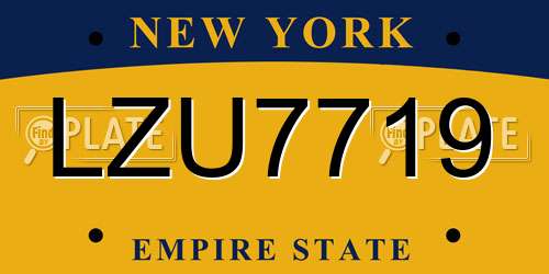 LZU7719 New York License Plate