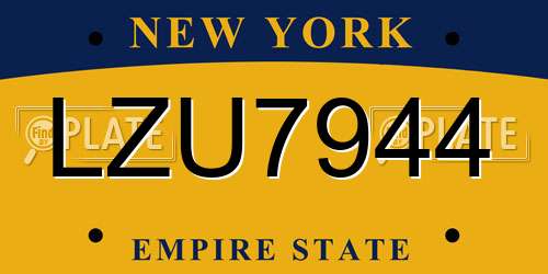 LZU7944 New York License Plate