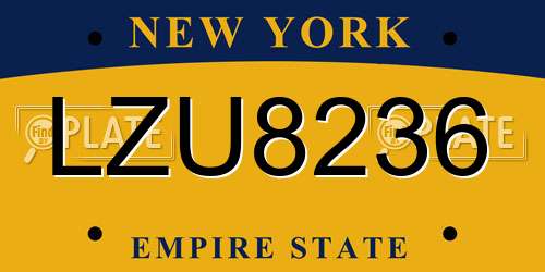LZU8236 New York License Plate