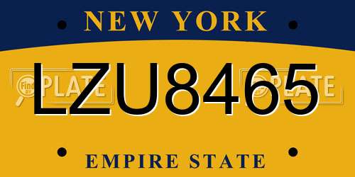 LZU8465 New York License Plate