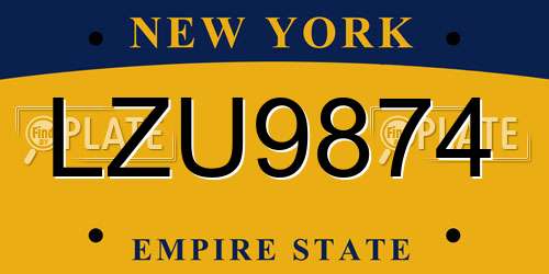 LZU9874 New York License Plate
