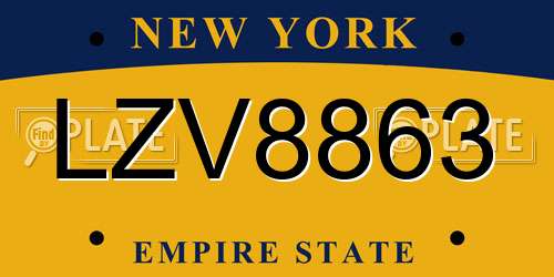 LZV8863 New York License Plate