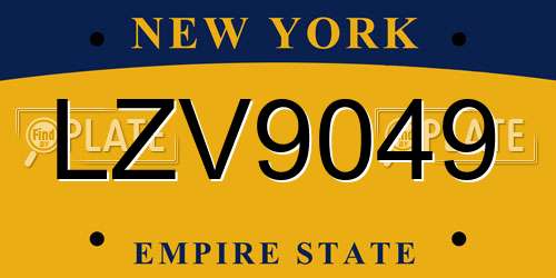 LZV9049 New York License Plate