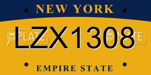 LZX1308 New York License Plate