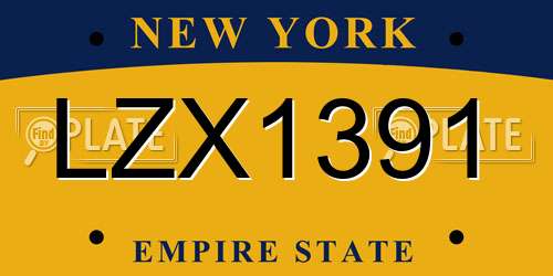 LZX1391 New York License Plate