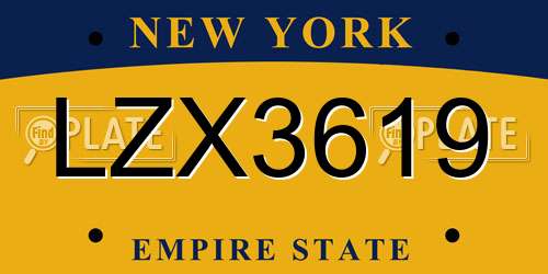 LZX3619 New York License Plate