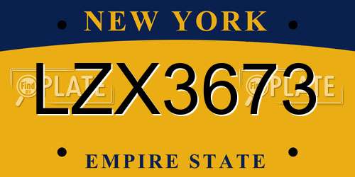 LZX3673 New York License Plate
