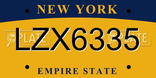 LZX6335 New York License Plate