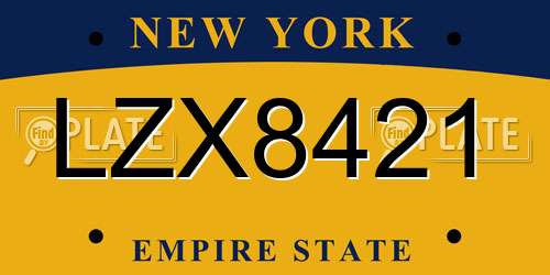 LZX8421 New York License Plate
