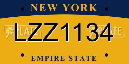 LZZ1134 New York License Plate