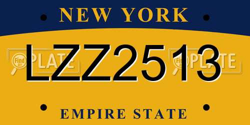 LZZ2513 New York License Plate