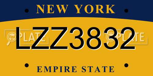LZZ3832 New York License Plate