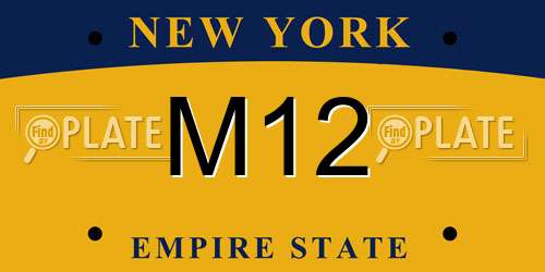 M12 New York License Plate