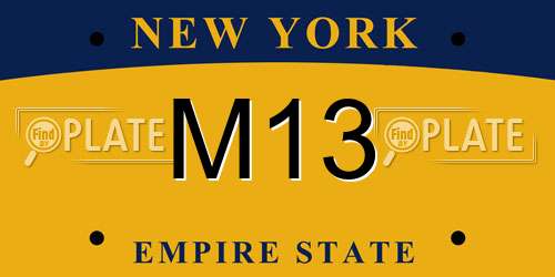 M13 New York License Plate