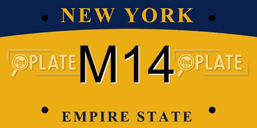 M14 New York License Plate