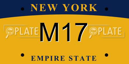 M17 New York License Plate