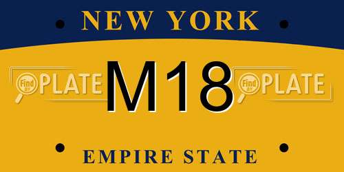 M18 New York License Plate