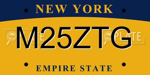 M25ZTG New York License Plate