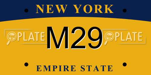 M29 New York License Plate