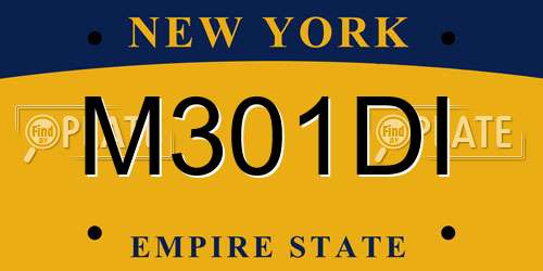 M301DI New York License Plate