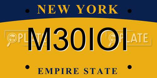 M30IOI New York License Plate