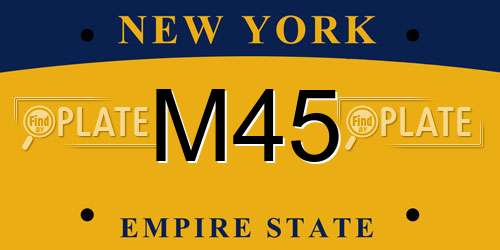 M45 New York License Plate