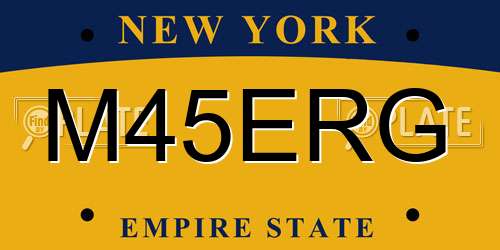 M45ERG New York License Plate