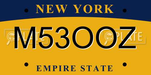 M53OOZ New York License Plate