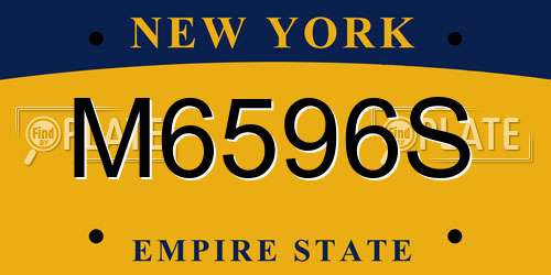 M6596S New York License Plate