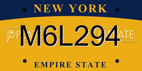 M6L294 New York License Plate