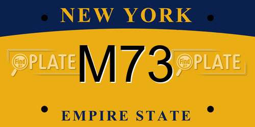 M73 New York License Plate