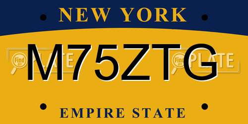 M75ZTG New York License Plate