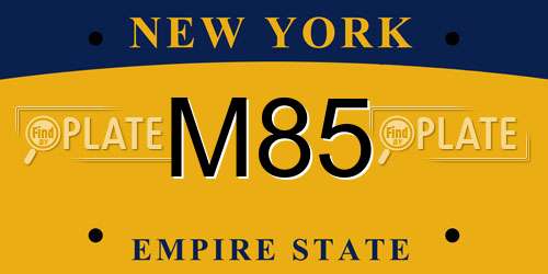 M85 New York License Plate