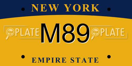 M89 New York License Plate