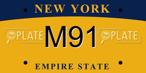 M91 New York License Plate