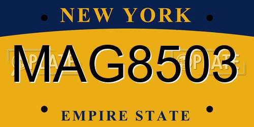 MAG8503 New York License Plate