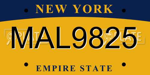 MAL9825 New York License Plate