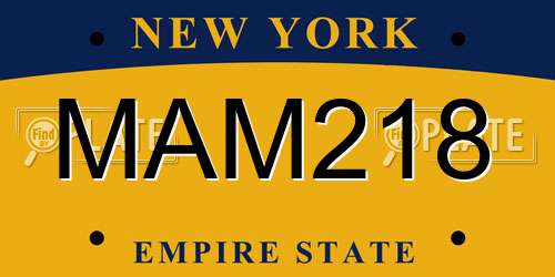 MAM218 New York License Plate