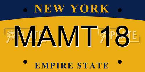 MAMT18 New York License Plate