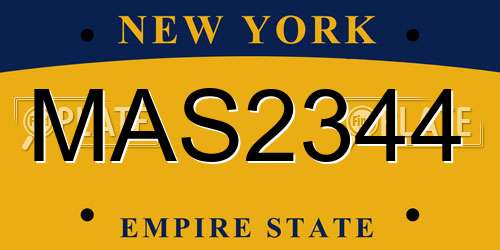 MAS2344 New York License Plate