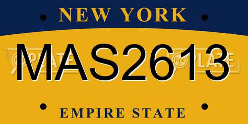 MAS2613 New York License Plate