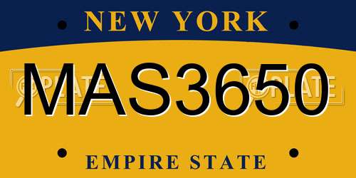 MAS3650 New York License Plate