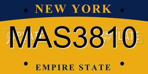 MAS3810 New York License Plate
