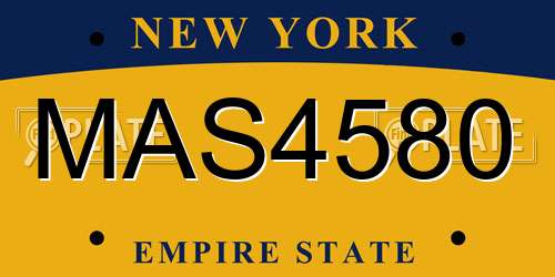 MAS4580 New York License Plate