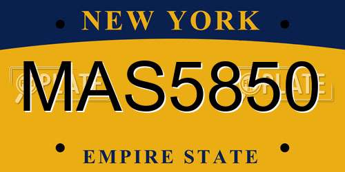 MAS5850 New York License Plate